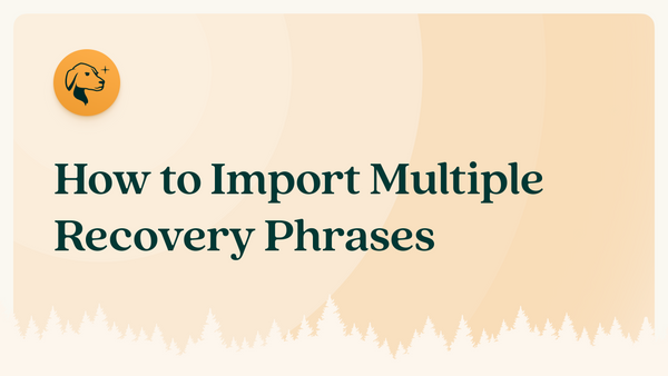 Importing Multiple Recovery Phrases