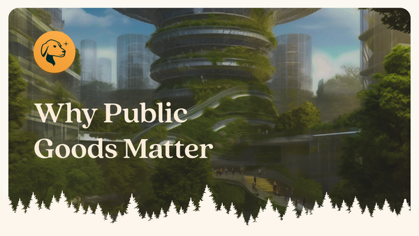 Why Public Goods Matter